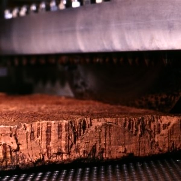 Imagem Detail
